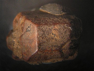 Olivn