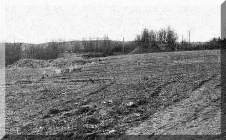 Plan, halda foto 1993
