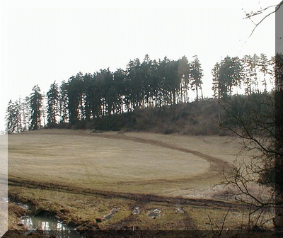 Foto 2002